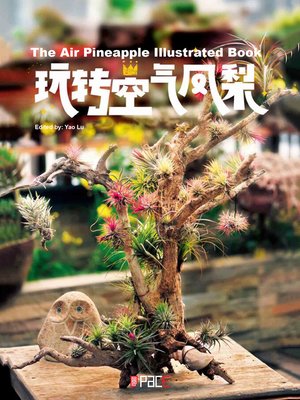 cover image of 玩转空气凤梨